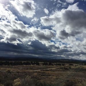 Meet your Posher, Cody